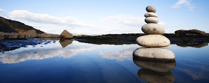 DPM Consulting - Services